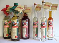 Meinels Baerwurz